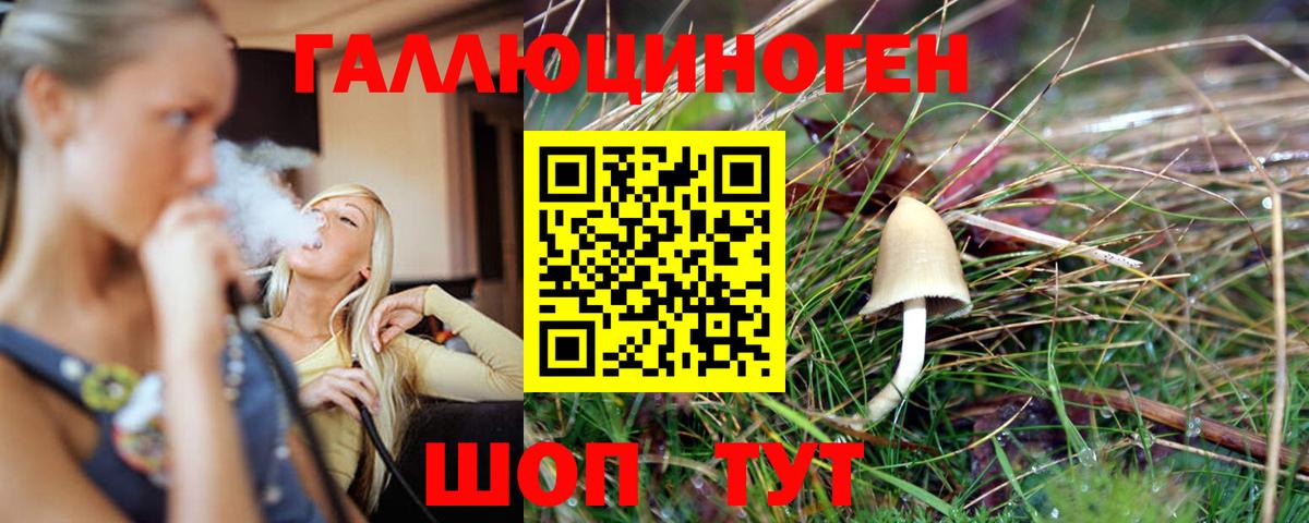 Псилоцибиновые грибы Magic Shrooms  Вход с VPN  Вологда 